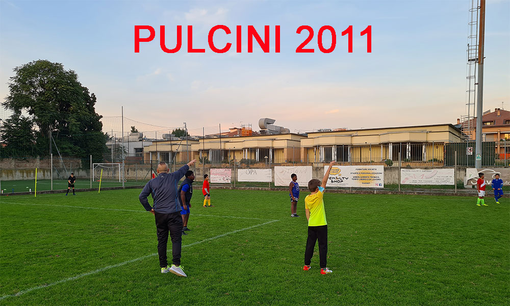 pulcini