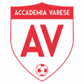 accademia varese